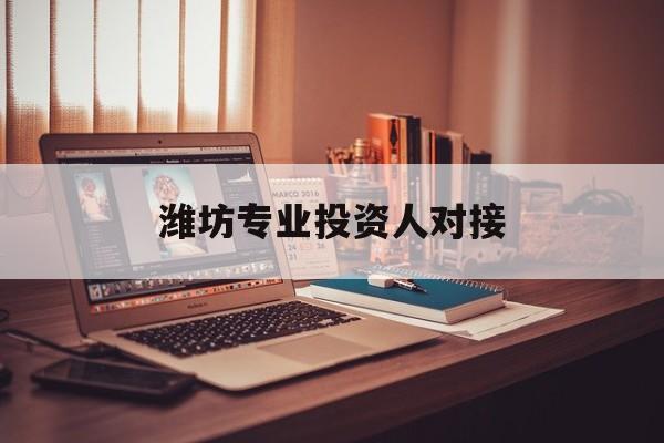 曲靖市潍坊专业投资人对接(潍坊专业投资人对接中心)