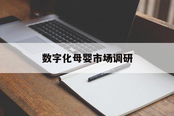 曲靖市数字化母婴市场调研(数字化母婴市场调研报告)